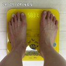 31140-8-49-3 | 마운자로 가격 처방 후기 49일차 -13.6kg