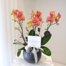 승진장식