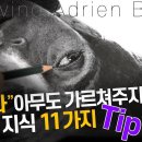 인물화 그릴 때 알아두면 좋은 Tip 11개 . Drawing Adrien Brody, A step-by-step Tutorial fr 이미지