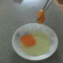 달구와 낭구 이미지