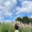 낙동강체육공원 축구장 화장실 이미지