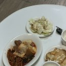 안지약국 | 26년 상반기 갤털(갤러리 털기) 2