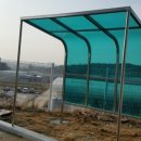 엠에스엠글로벌