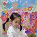 꽃사세요 꽃 Daum카페