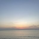 하이보리 이미지