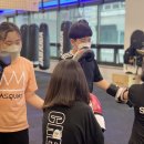 임팩트 복싱 매니지먼트 이미지