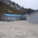 장평1리 마을회관 이미지