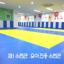 삼성유아태권도 이미지