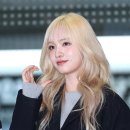리즈 이미지