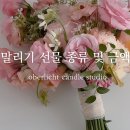 오버리히트 이미지