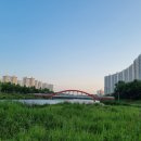 안산천동로 이미지