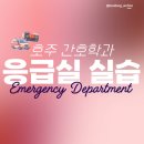 🚨호주 그리피스 간호대생 응급실 실습 후기 | 영알못의 무식하고 용감한 도전
