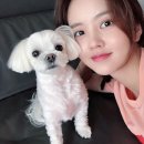 쏘모쏘모 이미지