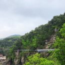 철원 한탄강 주상절리 길 / 드르니 매표소 출발, 셔틀버스, 고소공포증 절대 가지 마세요 후기