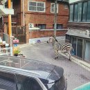 면목동-159 이미지