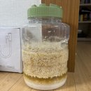 역사를 담은 전통 수제막걸리 만들기(인천여성가족재단) 마지막 수업 후기!