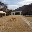 태담이네 하우스 이미지