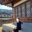 11월 일상 : 지름신과 소비요정이 함께한 적자의 달