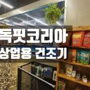 독핏코리아 이미지