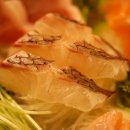 붉은우럭 이미지