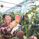 영농조합법인 나눔농장 이미지