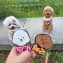 선희슈퍼 - 춘천시 효석로9번길 16 | 선희슈퍼