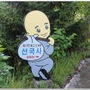 남원 선국사 건칠아미타여래좌상 및 복장유물 | [남원기행] 동학군의 은신처, 교룡산 선국사(善國寺).