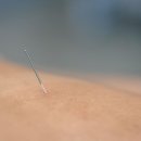 갈매송한의원 이미지