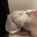 옥수스파관리 이미지