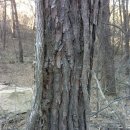 담쟁이농장 이미지