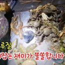 안면도덤앤더머 이미지
