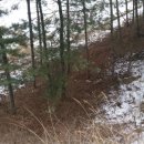 동강공인중개사사무소 이미지