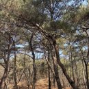 경기둘레길 김포2코스 이미지