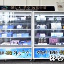 공무원연금공단천안상록리조트상록호텔 이미지