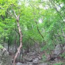 해강목장 이미지