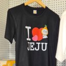 제주 더 아르테미스 이미지