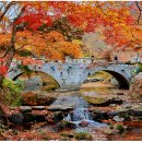 △육/백/산 11월 제243차 [전북 고창 선운산]정기산행 안내△ 이미지