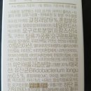 티앤요거트