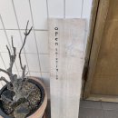 성일카센타 이미지