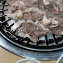 대지정육점 이미지