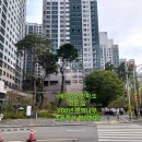 푸른숲공인중개사사무소 이미지