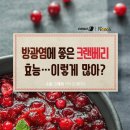 방광염에 좋은 '크랜베리' 이런 효능까지? 이미지