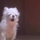 양평-용문-용문-2 이미지