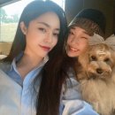 평택 소사벌 카페 딥하고 모던한 분위기에 애견동반 까지!