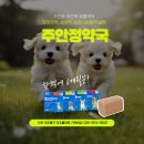 주안정약국 이미지