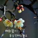 매화 - 구리시 동구릉로6번길 9-1 | 매화