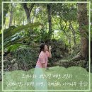 모텔황금정원 | 오키나와 3박4일 여행 - 3일차!(시키나엔, 이치란 라멘, 국제거리, 야키니꾸 플심)