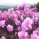 구래약수터 이미지