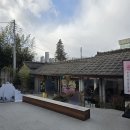 견우재 | 소제동 전시 보고 들르기 좋은 카페, 반려견 운동장 있는 '견우재' 후기