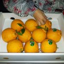 태호농장 이미지